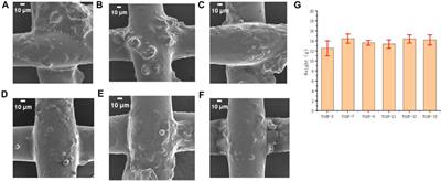 Fabrication of hydrophilic and hydrophobic membranes inspired by the phenomenon of water absorption and storage of cactus